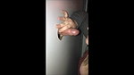 Wife Provides Quick Climax To Stranger At Video