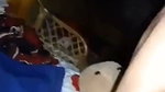 Boyfriend enjoying with her love