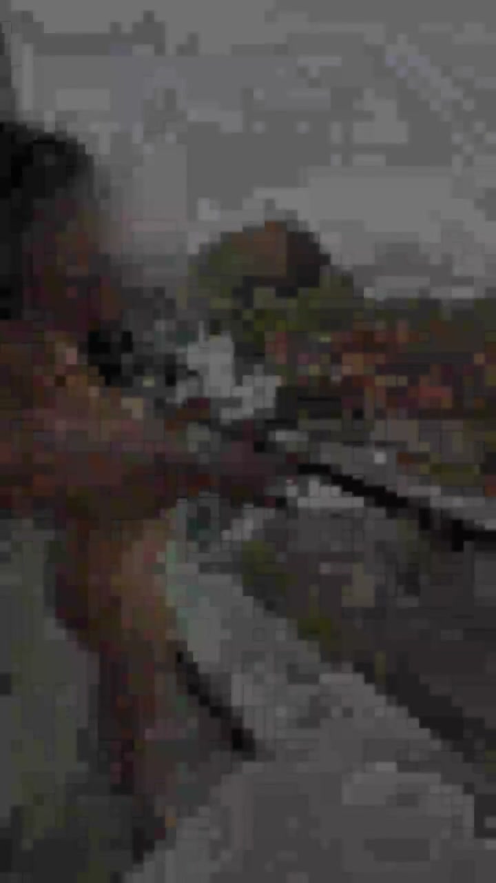 Frame 6