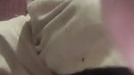 Village Wife Sucking Lover Dick