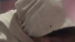 Village Wife Sucking Lover Dick