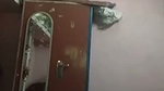 video5