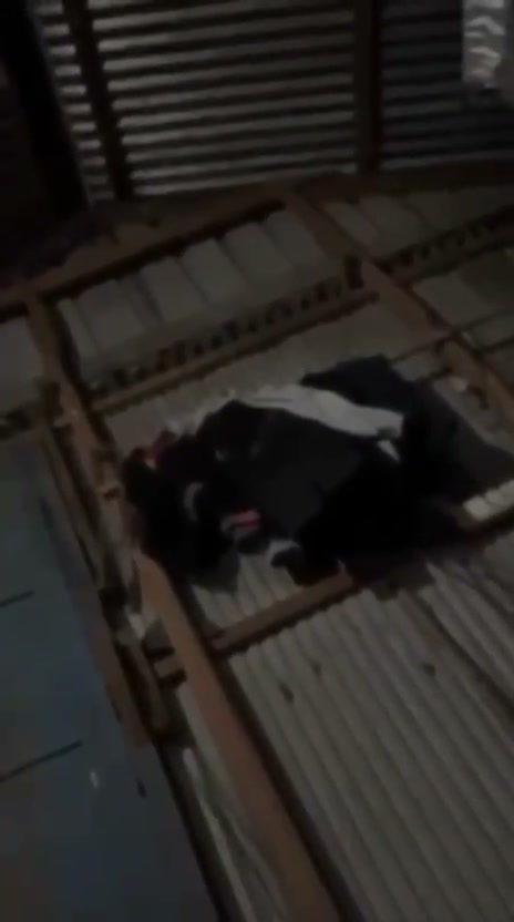 Frame 6