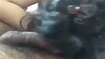 Pyaar Bhara Blowjob Aur Geeli Chut Mein Condom sex