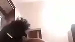 video020