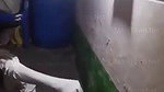 video034