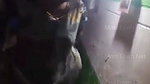 video034