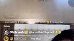 Currly quinn nude show