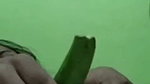 pussy fuck with cucumber