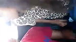 car mein chut chati
