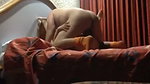 Mallika bhabhi fuck hard on bed