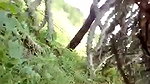 Sexy girlfriend enjoying with Boyfriend outdoor