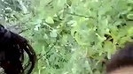 Sexy girlfriend enjoying with Boyfriend outdoor