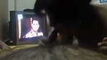 Bhabhi give Blowjob riding her lover dick