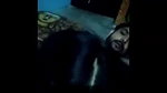 Neighbour Bhabhi Enjoying With Lover