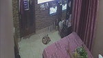 Desi Couple enjoying sex  watching TV