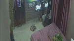 Desi Couple enjoying sex  watching TV