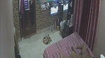 Desi Couple enjoying sex  watching TV