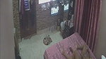Desi Couple enjoying sex  watching TV