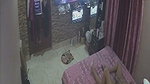 Desi Couple enjoying sex  watching TV
