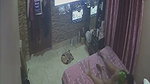 Desi Couple enjoying sex  watching TV