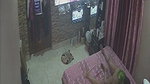 Desi Couple enjoying sex  watching TV