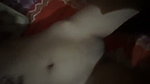 Young couple enjoying sex for first time