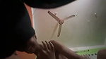 Young couple enjoying sex for first time