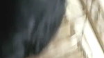 Boyfriend sucking his gf boob  enjoying it