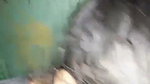 Village lady showing her hot sexy figure
