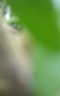 Frame 3