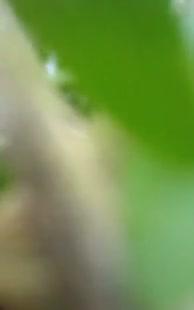 Frame 4