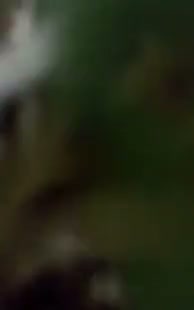 Frame 5