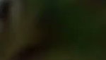 Bihari lady fucking hard in open field