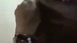 Devar fucking his own bhabhi