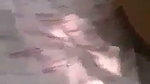 Village bhabhi fucking hard in open field
