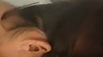 Chubby Bhabhi Ne Devar Ka Lund Apne Muh Me Liya
