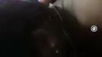 Screenrecording 20260613 235707