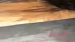 GF Ka Blowjob Aur Condom Wali Zabardast Doggy sex