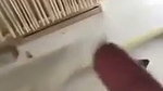 Room Mein Akele Nangi Ladki Ki Chut Mein Lund