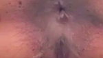 Showing Asshole Hard Doggy Fuck Moaning Trying Anal Wants Cum In Her Mouth 4