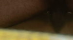 Showing Asshole Hard Doggy Fuck Moaning Trying Anal Wants Cum In Her Mouth 5