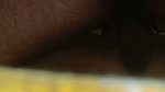 Showing Asshole Hard Doggy Fuck Moaning Trying Anal Wants Cum In Her Mouth 5