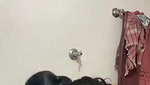 Hot mallu girl2
