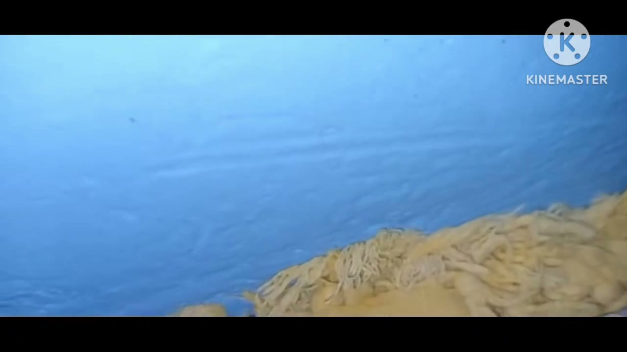 Frame 2