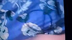 Bangla hot muskan vabi  Begun sex