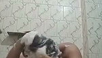 Sexy bhabhi nude  washing her hair