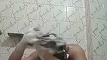 Sexy bhabhi nude  washing her hair