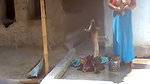 Village lady washing clothes  show her huge boobs