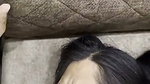 New update hot girl drinking piss  eat cum